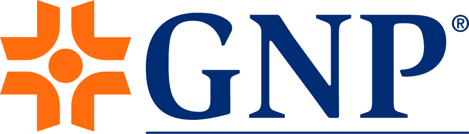 GNP